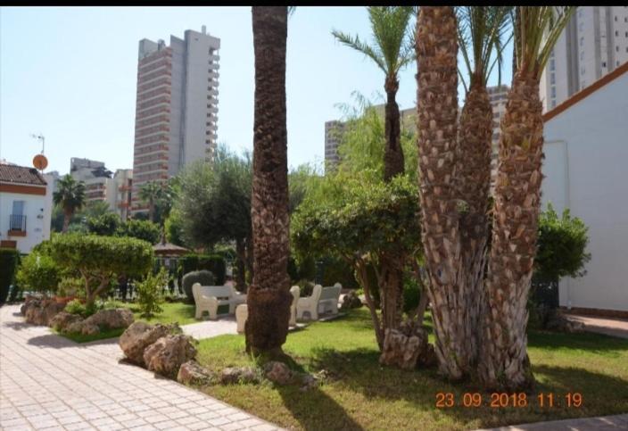 Sunshine Apartament Apartment Benidorm Exterior foto