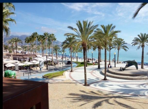 Sunshine Apartament Apartment Benidorm Exterior foto